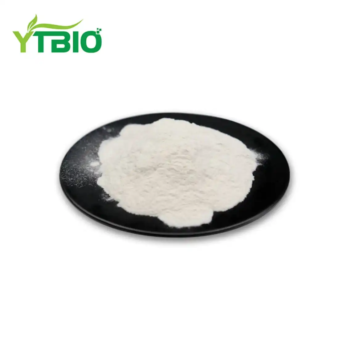 Lipase Enzyme Powder